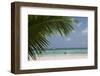 Seychelles, Praslin. Cote D'Or, one of the most beautiful beaches on the island.-Cindy Miller Hopkins-Framed Photographic Print