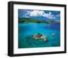 Seychelles-null-Framed Art Print