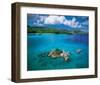 Seychelles-null-Framed Art Print