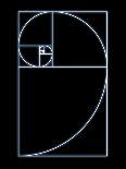 Fibonacci Spiral, Artwork-SEYMOUR-Photographic Print