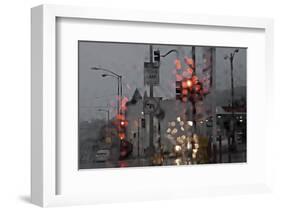 SF Early and Wet-David Lorenz Winston-Framed Art Print