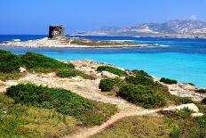 View of Cala Domestica Beach, Sardinia, Italy-sfocato-Photographic Print