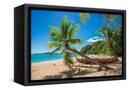 Canvas Black