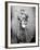 Sgt. Joseph Dore, 7th N.Y.S.M., c.1865-null-Framed Photo