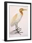 Sguacco Heron-null-Framed Giclee Print