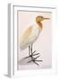 Sguacco Heron-null-Framed Giclee Print