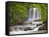 Sgwd yr Eira Waterfall, Brecon Beacons, Wales, United Kingdom, Europe-Billy Stock-Framed Stretched Canvas