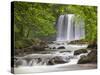 Sgwd yr Eira Waterfall, Brecon Beacons, Wales, United Kingdom, Europe-Billy Stock-Stretched Canvas