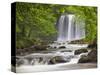 Sgwd yr Eira Waterfall, Brecon Beacons, Wales, United Kingdom, Europe-Billy Stock-Stretched Canvas