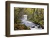 Sgwd yr Eira waterfall on the Afon Mellte river near Ystradfellte, Brecon Beacons National Park, Po-Adam Burton-Framed Photographic Print