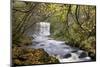 Sgwd yr Eira waterfall on the Afon Mellte river near Ystradfellte, Brecon Beacons National Park, Po-Adam Burton-Mounted Photographic Print