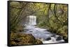 Sgwd yr Eira waterfall on the Afon Mellte river near Ystradfellte, Brecon Beacons National Park, Po-Adam Burton-Framed Stretched Canvas