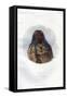 Sha-Ko-Ka, the Mint, a Mandan Girl, 1848-Harris-Framed Stretched Canvas
