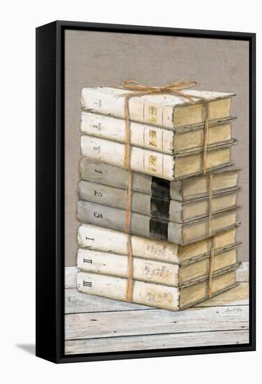 Shabby Chic Books-null-Framed Stretched Canvas