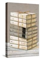 Shabby Chic Books-null-Stretched Canvas