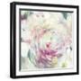 Shabby Peony I-PI Studio-Framed Art Print