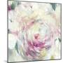 Shabby Peony I-PI Studio-Mounted Art Print