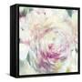 Shabby Peony I-PI Studio-Framed Stretched Canvas