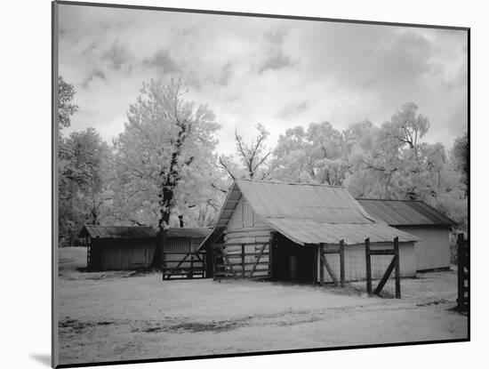 Shack-Carol Highsmith-Mounted Photo