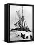 Shackleton's "Endurance-null-Framed Stretched Canvas