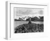 Shackleton's Grave at Grytviken-null-Framed Photographic Print