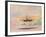 Shackleton's Ship, the Nimrod, in Mcmurdo Sound, 1912-George Marston-Framed Giclee Print