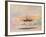 Shackleton's Ship, the Nimrod, in Mcmurdo Sound, 1912-George Marston-Framed Giclee Print