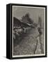 Shad Fishing on the Potomac-Joseph Nash-Framed Stretched Canvas