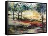 Shade And Sun-Jodi Maas-Framed Stretched Canvas