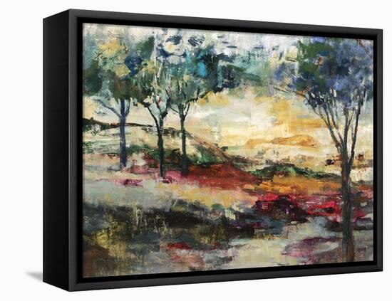 Shade And Sun-Jodi Maas-Framed Stretched Canvas