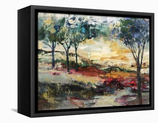 Shade And Sun-Jodi Maas-Framed Stretched Canvas