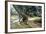 Shade in Olive Grove-Francesco Vinea-Framed Giclee Print