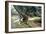 Shade in Olive Grove-Francesco Vinea-Framed Giclee Print