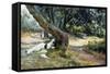 Shade in Olive Grove-Francesco Vinea-Framed Stretched Canvas