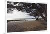 Shaded Beach, Carmel by the Sea, California-George Oze-Framed Photographic Print