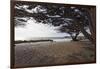 Shaded Beach, Carmel by the Sea, California-George Oze-Framed Photographic Print