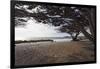 Shaded Beach, Carmel by the Sea, California-George Oze-Framed Photographic Print