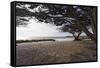 Shaded Beach, Carmel by the Sea, California-George Oze-Framed Stretched Canvas