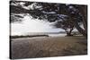 Shaded Beach, Carmel by the Sea, California-George Oze-Stretched Canvas