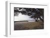 Shaded Beach, Carmel by the Sea, California-George Oze-Framed Photographic Print