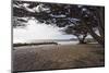 Shaded Beach, Carmel by the Sea, California-George Oze-Mounted Photographic Print