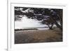 Shaded Beach, Carmel by the Sea, California-George Oze-Framed Photographic Print