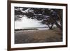Shaded Beach, Carmel by the Sea, California-George Oze-Framed Photographic Print