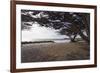 Shaded Beach, Carmel by the Sea, California-George Oze-Framed Photographic Print