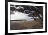 Shaded Beach, Carmel by the Sea, California-George Oze-Framed Photographic Print