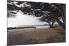 Shaded Beach, Carmel by the Sea, California-George Oze-Mounted Photographic Print