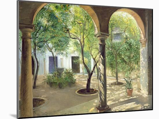 Shaded Courtyard, Vianna Palace, Cordoba-Timothy Easton-Mounted Giclee Print