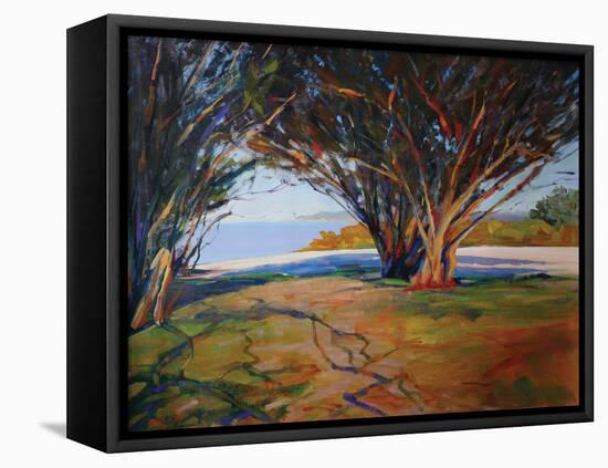 Shaded Path-Sokol Hohne-Framed Stretched Canvas