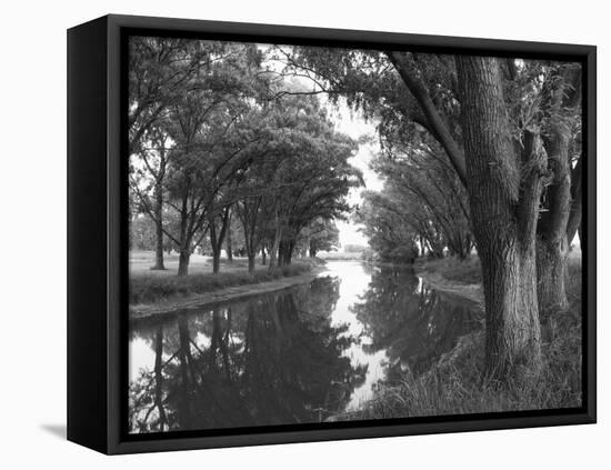 Shaded River in the Pampa Region, Argentina-Michele Molinari-Framed Stretched Canvas