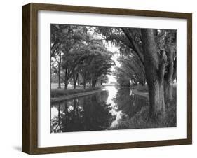 Shaded River in the Pampa Region, Argentina-Michele Molinari-Framed Photographic Print